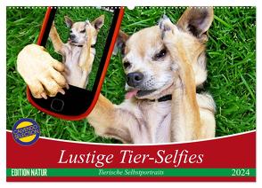 Lustige Tier-Selfies. Tierische Selbstportraits (Wandkalender 2024 DIN A2 quer), CALVENDO Monatskalender von Stanzer,  Elisabeth