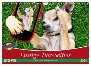 Lustige Tier-Selfies. Tierische Selbstportraits (Wandkalender 2024 DIN A4 quer), CALVENDO Monatskalender von Stanzer,  Elisabeth