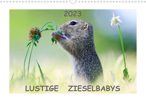 Lustige Zieselbabys (Wandkalender 2023 DIN A3 quer) von Lang,  Werner