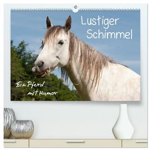 Lustiger Schimmel – ein Pferd mit Humor (hochwertiger Premium Wandkalender 2024 DIN A2 quer), Kunstdruck in Hochglanz von Bölts,  Meike