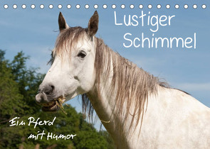 Lustiger Schimmel – ein Pferd mit Humor (Tischkalender 2023 DIN A5 quer) von Bölts,  Meike