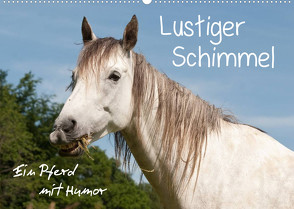 Lustiger Schimmel – ein Pferd mit Humor (Wandkalender 2023 DIN A2 quer) von Bölts,  Meike