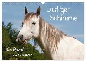 Lustiger Schimmel – ein Pferd mit Humor (Wandkalender 2024 DIN A3 quer), CALVENDO Monatskalender von Bölts,  Meike