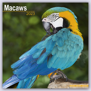 Macaws – Ara-Papageien – Aras 2023 – 16-Monatskalender