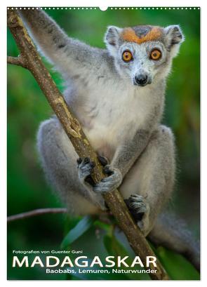 MADAGASKAR: Baobabs, Lemuren, Naturwunder (Wandkalender 2024 DIN A2 hoch), CALVENDO Monatskalender von Guni,  Günter