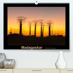 Madagaskar – Insel der Lemuren (Premium, hochwertiger DIN A2 Wandkalender 2022, Kunstdruck in Hochglanz) von Kribus,  Uwe