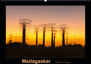 Madagaskar – Insel der Lemuren (Wandkalender 2021 DIN A2 quer) von Kribus,  Uwe