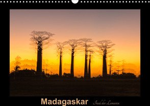 Madagaskar – Insel der Lemuren (Wandkalender 2022 DIN A3 quer) von Kribus,  Uwe