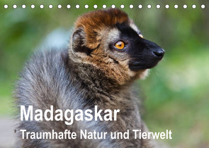 Madagaskar. Traumhafte Natur und Tierwelt (Tischkalender 2023 DIN A5 quer) von Reuke,  Sabine