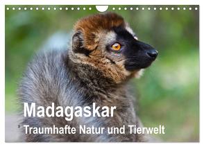 Madagaskar. Traumhafte Natur und Tierwelt (Wandkalender 2024 DIN A4 quer), CALVENDO Monatskalender von Reuke,  Sabine