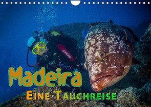 Madeira, eine Tauchreise (Wandkalender 2022 DIN A4 quer) von Gödecke,  Dieter