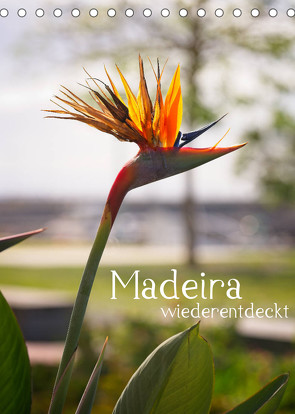 Madeira – wiederentdeckt (Tischkalender 2022 DIN A5 hoch) von Weber,  Philipp