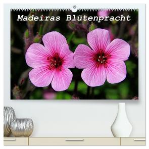 Madeiras Blütenpracht (hochwertiger Premium Wandkalender 2024 DIN A2 quer), Kunstdruck in Hochglanz von Lielischkies,  Klaus