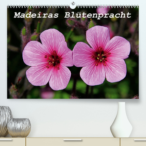 Madeiras Blütenpracht (Premium, hochwertiger DIN A2 Wandkalender 2021, Kunstdruck in Hochglanz) von Lielischkies,  Klaus