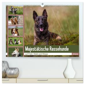 Mäjestätische Rassehunde auf Feld, Wald und Wiese (hochwertiger Premium Wandkalender 2024 DIN A2 quer), Kunstdruck in Hochglanz von Verena Scholze,  Fotodesign