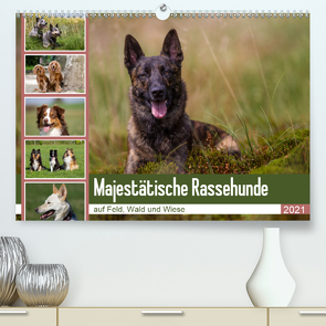 Mäjestätische Rassehunde auf Feld, Wald und Wiese (Premium, hochwertiger DIN A2 Wandkalender 2021, Kunstdruck in Hochglanz) von Verena Scholze,  Fotodesign