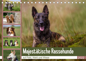 Mäjestätische Rassehunde auf Feld, Wald und Wiese (Tischkalender 2022 DIN A5 quer) von Verena Scholze,  Fotodesign