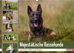 Mäjestätische Rassehunde auf Feld, Wald und Wiese (Wandkalender 2022 DIN A2 quer) von Verena Scholze,  Fotodesign