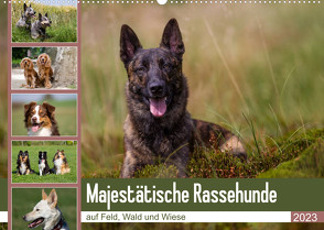 Mäjestätische Rassehunde auf Feld, Wald und Wiese (Wandkalender 2023 DIN A2 quer) von Verena Scholze,  Fotodesign