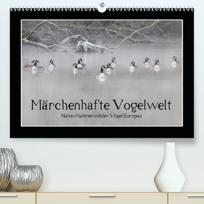 Märchenhafte Vogelwelt (Premium, hochwertiger DIN A2 Wandkalender 2020, Kunstdruck in Hochglanz) von Lebeus,  Marvin