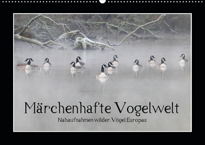 Märchenhafte Vogelwelt (Wandkalender 2021 DIN A2 quer) von Lebeus,  Marvin