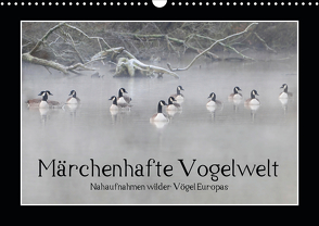 Märchenhafte Vogelwelt (Wandkalender 2021 DIN A3 quer) von Lebeus,  Marvin