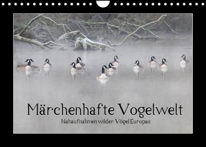 Märchenhafte Vogelwelt (Wandkalender 2022 DIN A4 quer) von Lebeus,  Marvin