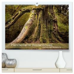 Märchenhafter Reinhardswald und Urwald Sababurg (hochwertiger Premium Wandkalender 2024 DIN A2 quer), Kunstdruck in Hochglanz von Pohl,  Michael