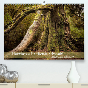 Märchenhafter Reinhardswald und Urwald Sababurg (Premium, hochwertiger DIN A2 Wandkalender 2022, Kunstdruck in Hochglanz) von Pohl,  Michael