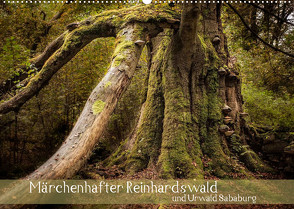 Märchenhafter Reinhardswald und Urwald Sababurg (Wandkalender 2022 DIN A2 quer) von Pohl,  Michael