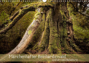 Märchenhafter Reinhardswald und Urwald Sababurg (Wandkalender 2023 DIN A3 quer) von Pohl,  Michael