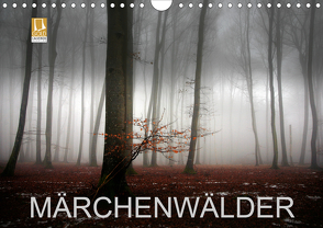 Märchenwälder (Wandkalender 2020 DIN A4 quer) von Warth,  Irma