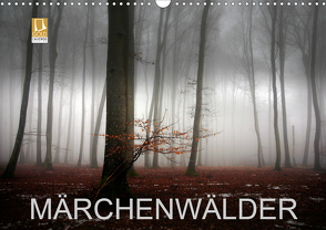 Märchenwälder (Wandkalender 2021 DIN A3 quer) von Warth,  Irma