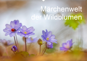 Märchenwelt der Wildblumen (Wandkalender 2020 DIN A2 quer) von Spranz,  Henrik