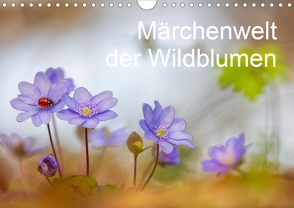 Märchenwelt der Wildblumen (Wandkalender 2020 DIN A4 quer) von Spranz,  Henrik