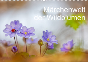 Märchenwelt der Wildblumen (Wandkalender 2022 DIN A2 quer) von Spranz,  Henrik