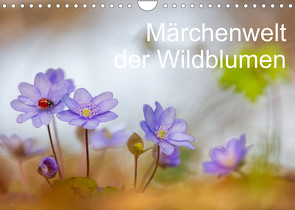 Märchenwelt der Wildblumen (Wandkalender 2022 DIN A4 quer) von Spranz,  Henrik