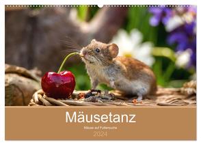 Mäusetanz (Wandkalender 2024 DIN A2 quer), CALVENDO Monatskalender von Geisdorf Photography,  Linda