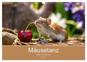 Mäusetanz (Wandkalender 2024 DIN A3 quer), CALVENDO Monatskalender von Geisdorf Photography,  Linda