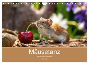 Mäusetanz (Wandkalender 2024 DIN A4 quer), CALVENDO Monatskalender von Geisdorf Photography,  Linda