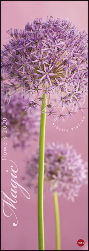 Magic Flowers Vertical Kalender 2020 von Heye, Pietrek,  Sibylle