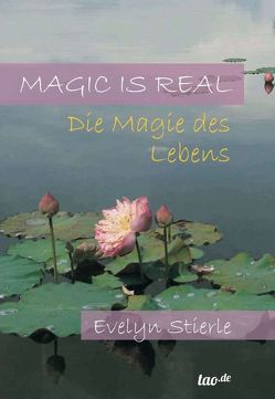 Magic is real von Stierle,  Evelyn