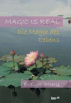 Magic is real von Stierle,  Evelyn