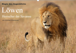 Magie des Augenblicks – Löwen – Herrscher der Savanne (Wandkalender 2021 DIN A2 quer) von Wisniewski,  Winfried