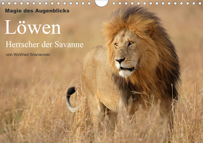 Magie des Augenblicks – Löwen – Herrscher der Savanne (Wandkalender 2021 DIN A4 quer) von Wisniewski,  Winfried