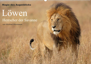 Magie des Augenblicks – Löwen – Herrscher der Savanne (Wandkalender 2022 DIN A2 quer) von Wisniewski,  Winfried