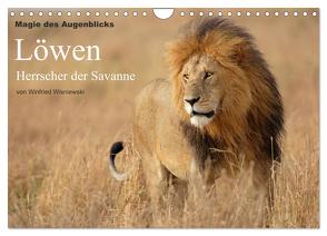 Magie des Augenblicks – Löwen – Herrscher der Savanne (Wandkalender 2024 DIN A4 quer), CALVENDO Monatskalender von Wisniewski,  Winfried