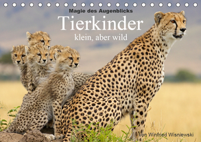 Magie des Augenblicks – Tierkinder – klein, aber wild (Tischkalender 2020 DIN A5 quer) von Wisniewski,  Winfried