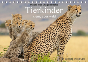 Magie des Augenblicks – Tierkinder – klein, aber wild (Tischkalender 2021 DIN A5 quer) von Wisniewski,  Winfried