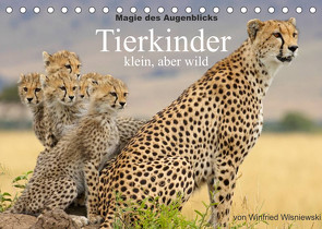 Magie des Augenblicks – Tierkinder – klein, aber wild (Tischkalender 2022 DIN A5 quer) von Wisniewski,  Winfried